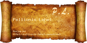 Pellionis Lehel névjegykártya